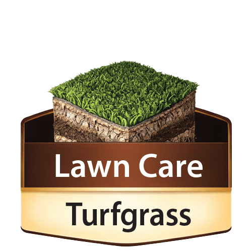 Bio Basic 12-3-5 General Purpose Turf Fertilizer | BioPlex